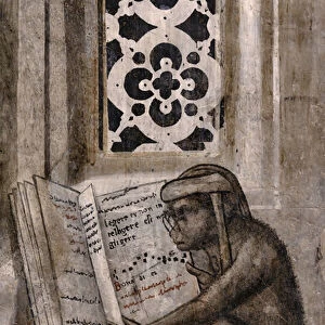The monkey with glasses reading a book, 1501-03 (monochrome fresco)