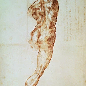 Nude, study for the Battle of Cascina (red chalk on paper)