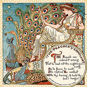 The Peacocks Complaint, illustration from Babys Own Aesop, engraved