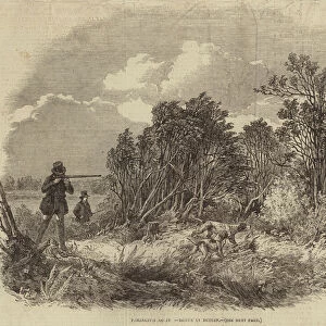 Pheasant-Shooting (engraving)