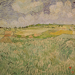 The Plain at Auvers, 1890 (oil on canvas)