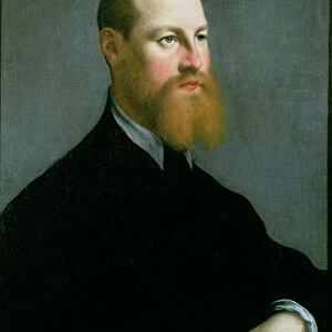 Portrait of a man with a ginger beard, 16th century (oil on canvas)