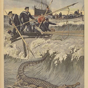 Sailors hunting an escaped cayman at sea (colour litho)