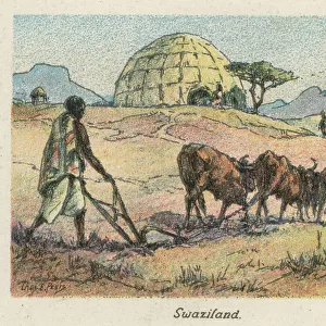 Swaziland (Eswatini) Related Images