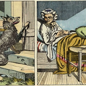 Wolf knocks at Grandmas door. Illustration of the tale "