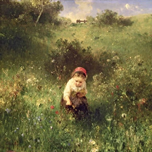 A Young Girl in a Field