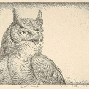 Horned Owl Portrait Great Horned 1940 Drypoint