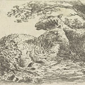 Two sheep, Monogrammist PVB, 1700 - 1885