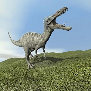 Aucasaurus dinosaur bellows a loud roar