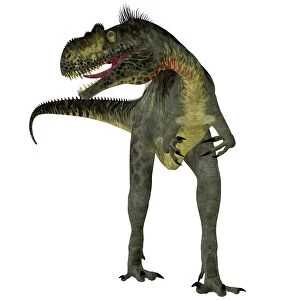 Megalosaurus dinosaur, front view