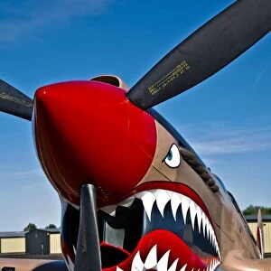 Nose art on a Curtiss P-40E Warhawk