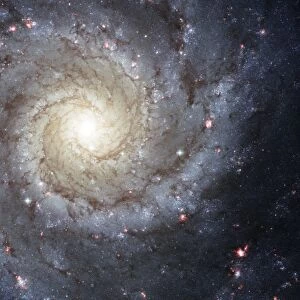 Spiral galaxy M74