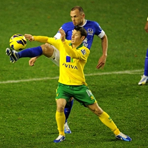 Battle for the Ball: Heitinga vs. Hoolahan - Everton vs. Norwich City, Premier League (1-1), Goodison Park (November 24, 2012)