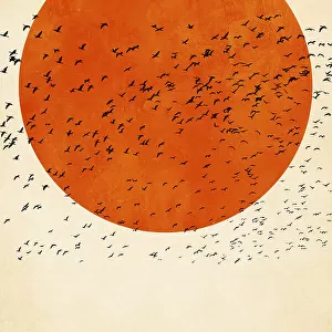 Birds In the Sun
