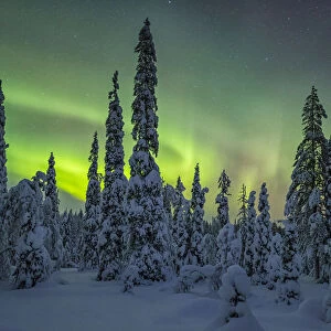 Riisitunturi in winter with Aurora Borealis, Kuusamo, Lapland, Finland. January 2016
