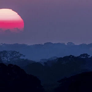 Sunset above the canopy in the Peruvian Amazon. Tambopata Reserve, Madre de Dios, Peru