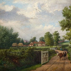 Hinds Farm Sparkhill, Birmingham, 1870s. Creator: J. Jolly