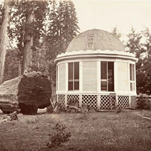 The House Built over the Stump of a Big Tree, 1865-66, printed ca. 1876