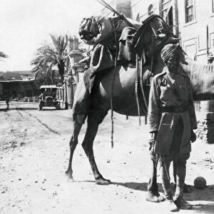 Indian camel trooper, Baghdad, 1918