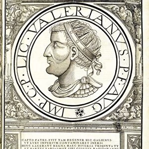 Licinius Valerianus, 1559