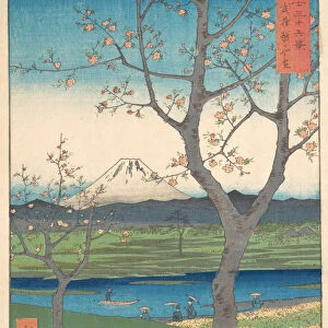 Musashi, Koshigaya Zai, 4th month horse year 1858. 4th month horse year 1858. Creator: Ando Hiroshige