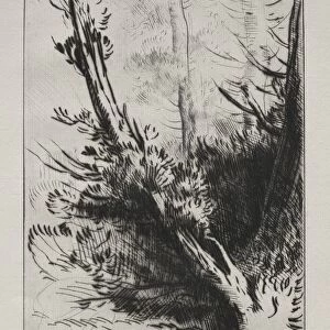 In the Woods. Creator: Alphonse Legros (French, 1837-1911)