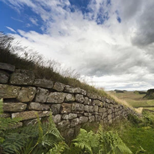 Hadrians Wall; Northumberland, England