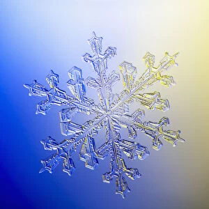 Photo-microscope view of a real snowflake showing the classic 6-sided star shape