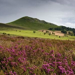 Rolling Hills, North Yorkshire, England