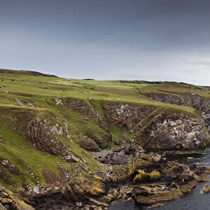 The Rugged Coastline; St. Abbs Head Scottish Borders Scotland