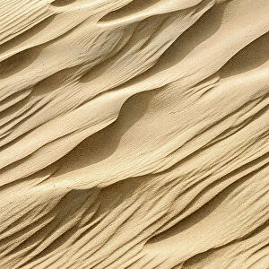 Patterns in the sand of the dunes, Kennemerduinen, Noord-Holland, The Netherlands
