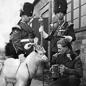 Billy the Regiment goat watches young Fusilier John Nunney