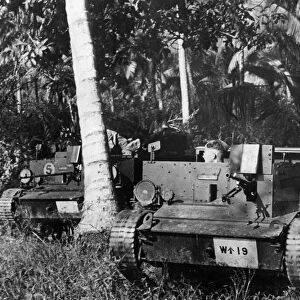 Defence of Malaya. Bren carriers manned by British troops advance through the Malayan