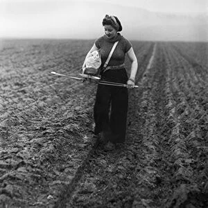 Members of the Women Land Army (WLA) sowing seeds by the old fashioned Fiddle method in