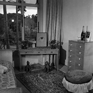 Mrs. E. Giloert. Pekinese Dogs. June 1952 C2813-001