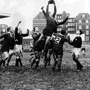 Sport - Rugby - Wales v Scotland 1966 - Brian Price the Welsh second row forward captures
