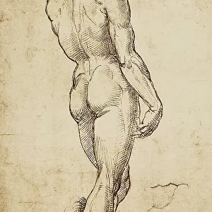 Study of a male figure seen from the back; drawing by Raphael. British Museum, London