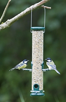 Images Dated 2008 August: 004401