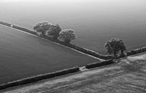 Prints of 005731 Images Dated 2009 October: 005731