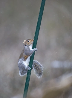 Images Dated 2010 January: 005869