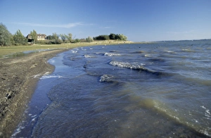 Landscape Prints: 02388dt