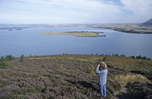 Landscape Prints: 02397dt