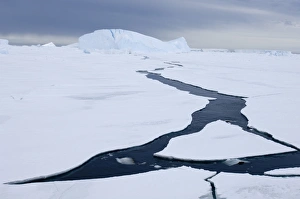 Icebergs and pack ice in the Weddell Sea, Antarctica