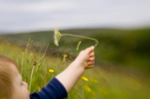 10 month old boy exploring nature UK summer