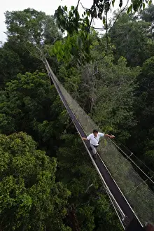 Aerial walkway through Rainforest canopy Exploramo Lodge Iquitos Region River Amazon Peru