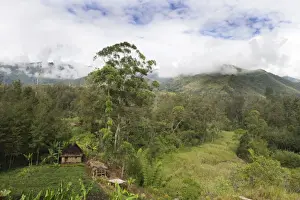 : Agriculture and habitation in valley in Western Highlands near Mt Hagen Papua New Guinea