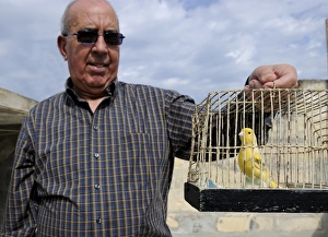Albert Dimech with one of his Canaries Malta - Albert has been a keen bird keeper Albert Dimech with one of his Canaries Malta - Albert has been a keen bird keeper