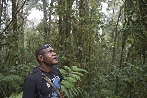 Papua New Guinea Prints: Alus a guide at Makara Lodge Tari Papua New Guinea