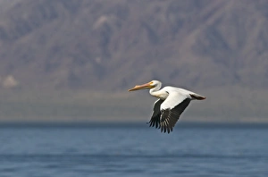 Salton Sea California USA April
