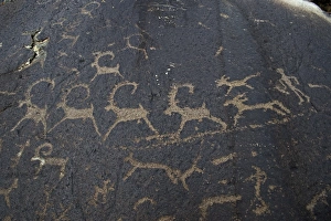 Ancient Petroglyphs in the high Altai near Bayan-Ulgii in western Mongolia perhaps